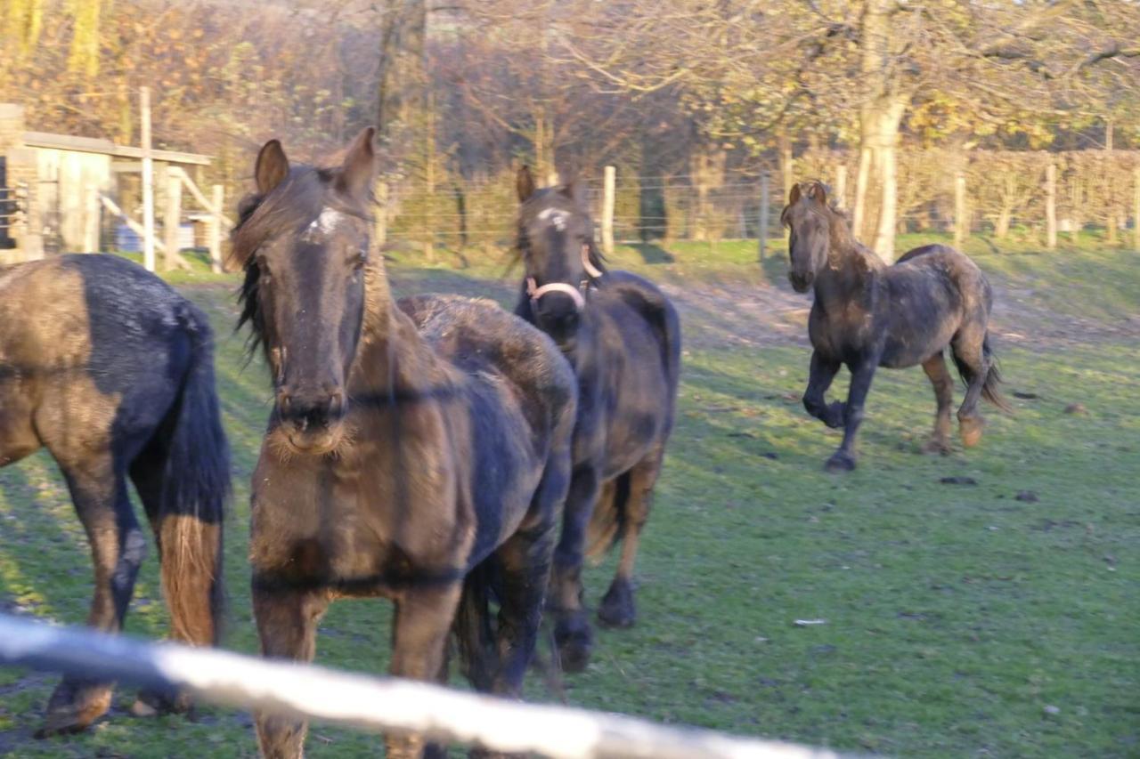 Meschermolen 13 Eijsden Eksteriør bilde